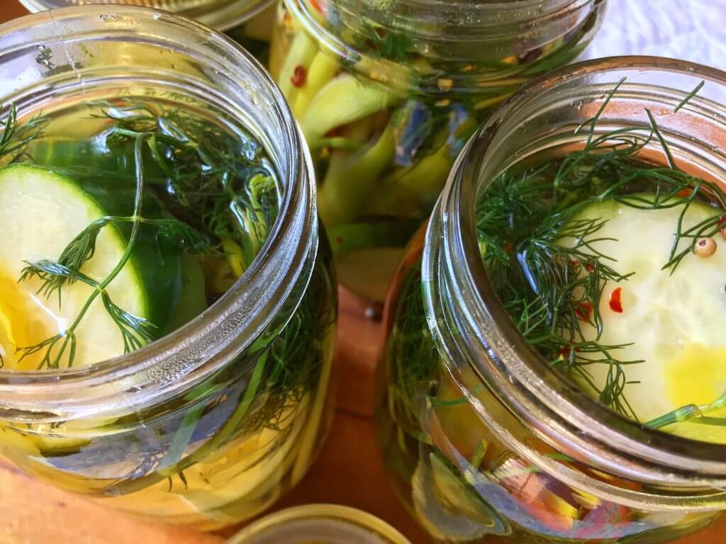 Close-up of jars filled with cucumber slices, fresh dill, and pickling spices.
