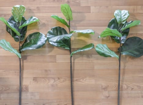 a diy fig tree