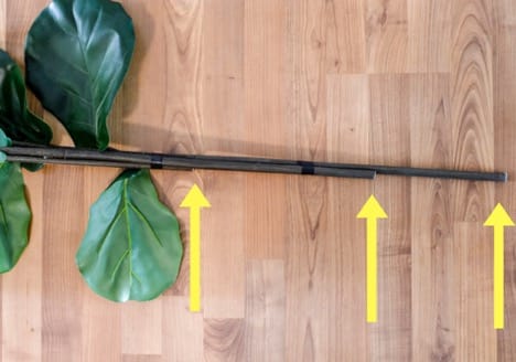 a diy fig tree