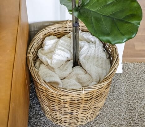 a diy fig tree