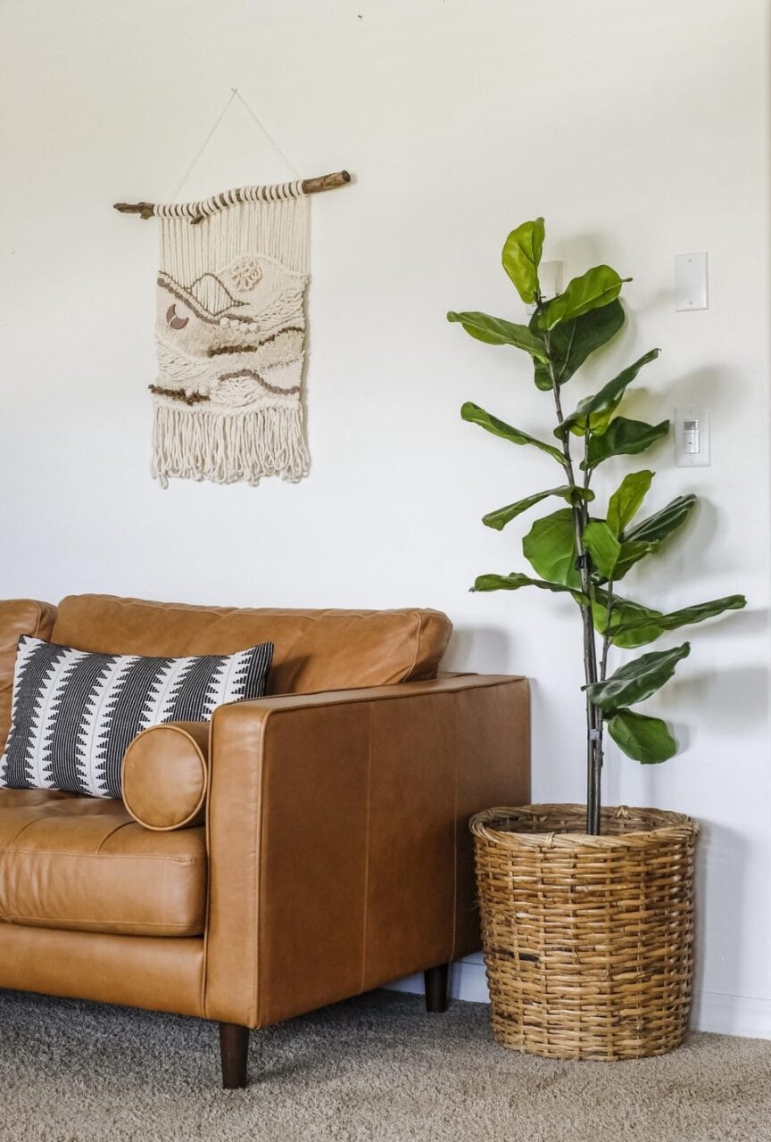 a diy fig tree