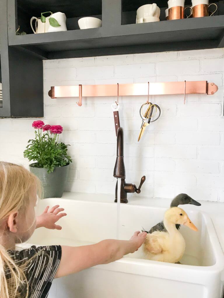 Child playing with two ducklings in a farmhouse sink with a bronze faucet and potted plants nearby.